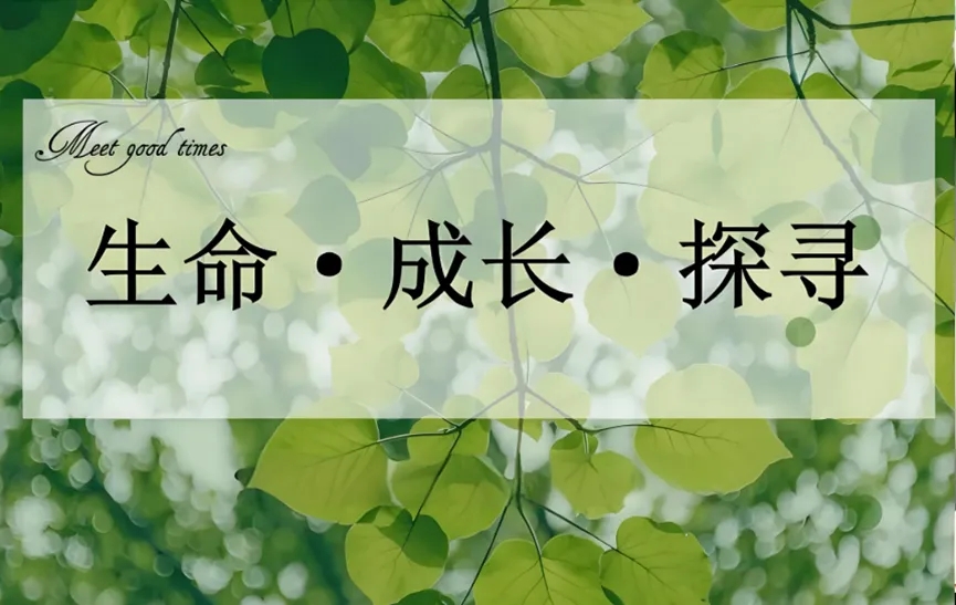 『沙龙回顾』“心智决定孩子一生”——如何平衡孩子学业压力与心理健康发展？