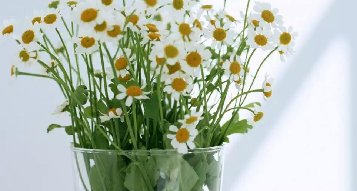 恐惧的不是病毒，而是死亡